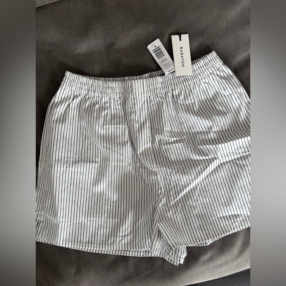 Aritzia Deakins Poplin Short